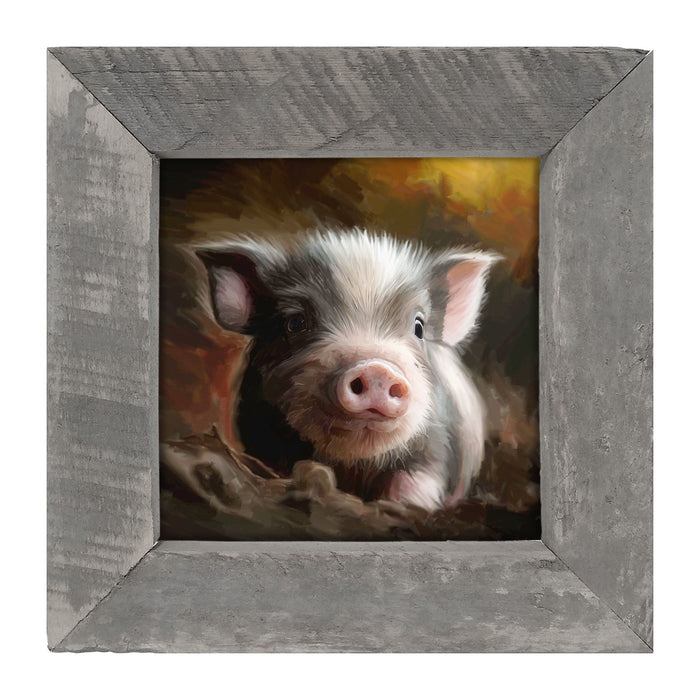Baby pig