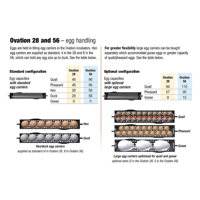 Brinsea: Ovation 28 Large Egg Carriers 3''s