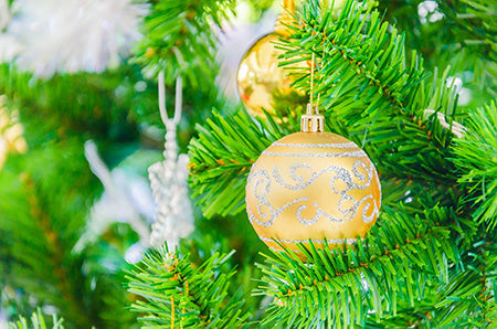Christmas Tree Fragrance Oil 15213