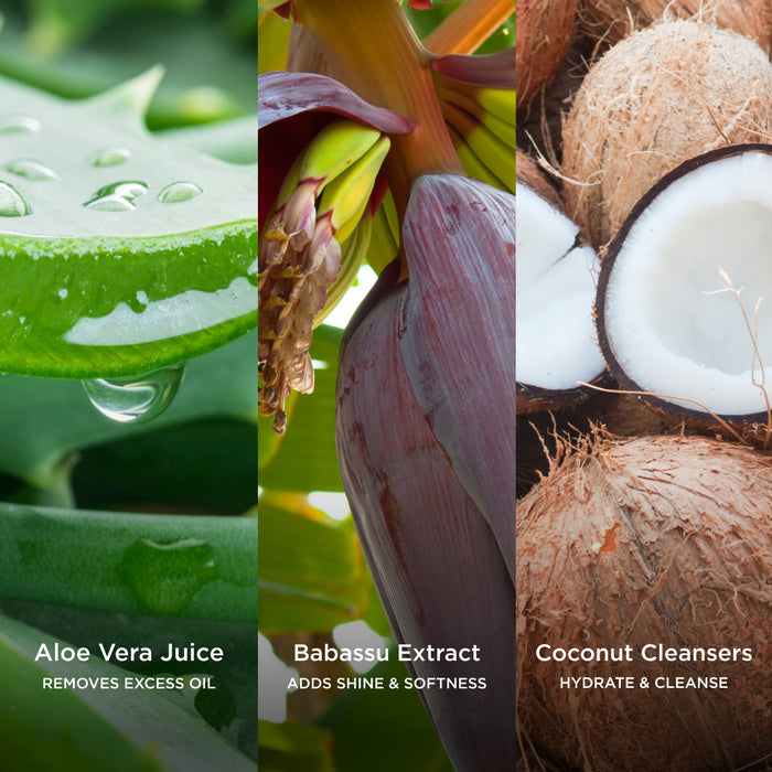 Ingredient collage featuring Aloe Vera Juice, Babassu Extract and Coconut Cleansers, with on-image text highlighting their benefits: "Removes Excess Oil", "Adds Shine & Softness" and "Hydrates & Cleanse".