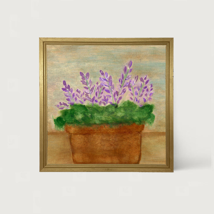 Lavender