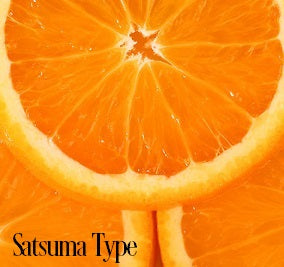 Satsuma Fragrance Oil 20284