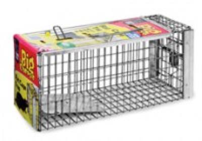 The Big Cheese: Rat Cage Trap