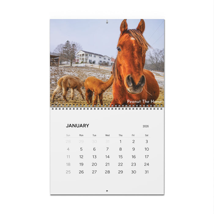 2026 P'Nut's Freedom Farm Wall Calendar