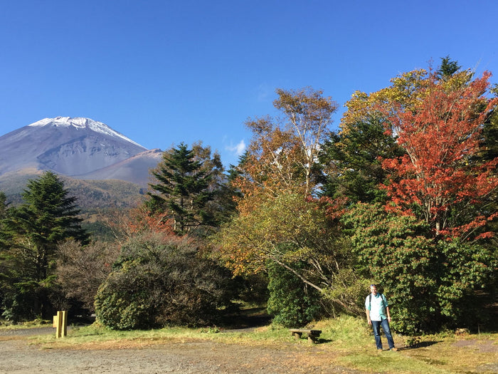 - Acer palmatum ssp palmatum Wild Collected from Japan Mt. Fuji - Mr Maple │ Buy Japanese Maple Trees