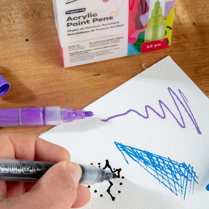 Acrylic Paint Pens Signature Broad Tip 12pc