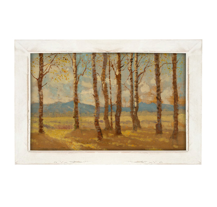 Autumn birch trees