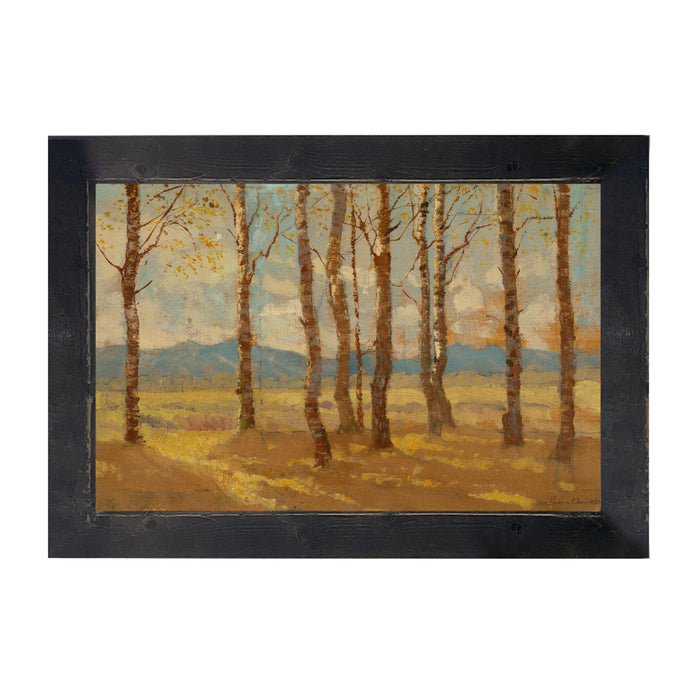 Autumn birch trees