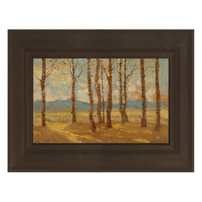 Autumn birch trees