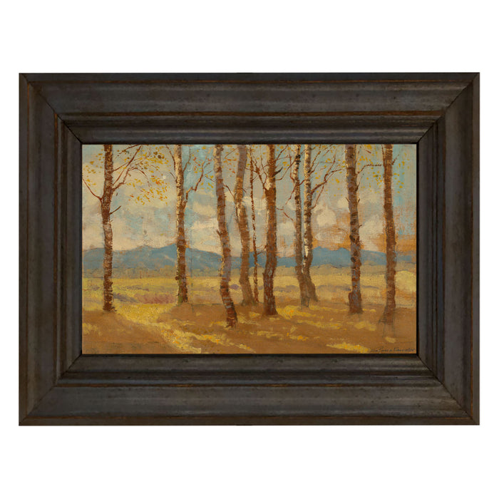 Autumn birch trees