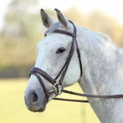 Aviemore Comfort Fit Bridle Havana