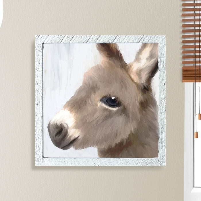 Baby Donkey