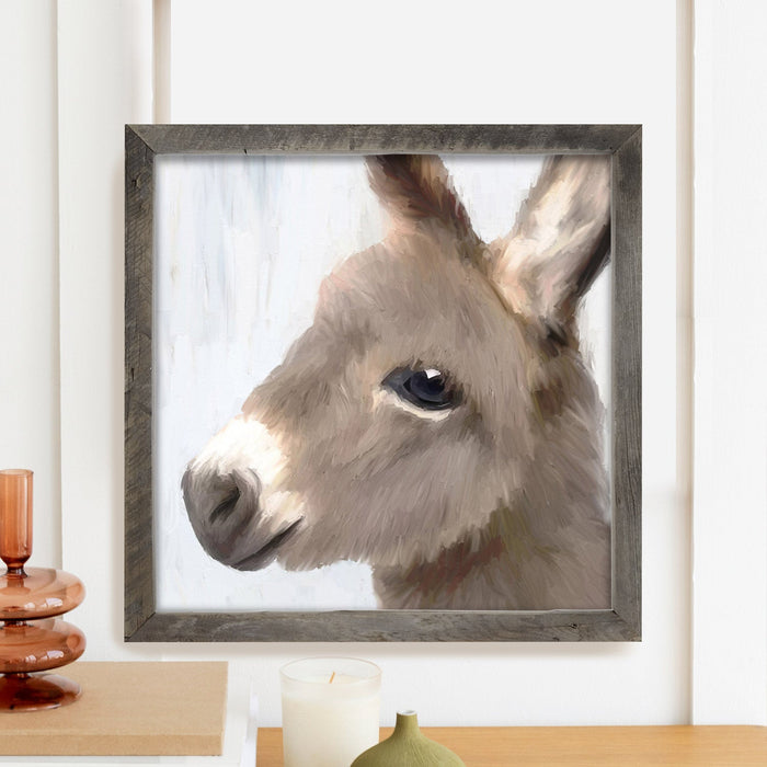Baby Donkey