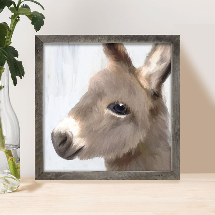 Baby Donkey