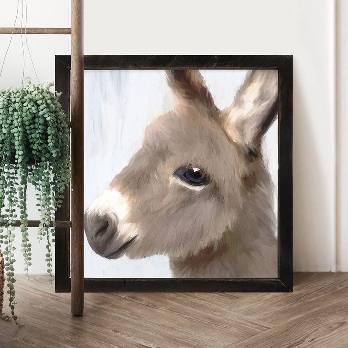 Baby Donkey