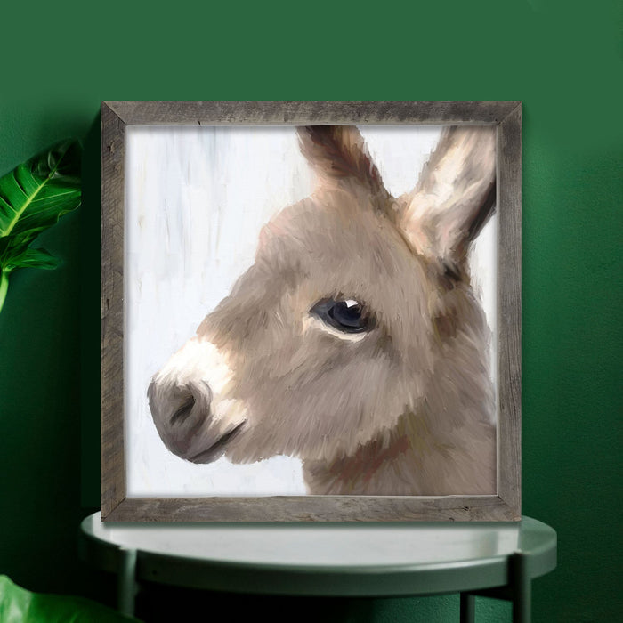 Baby Donkey