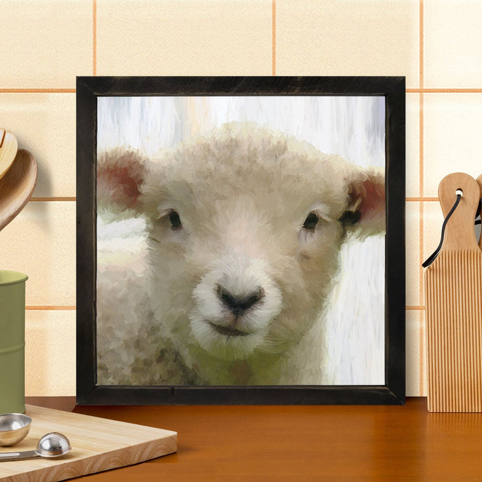 Baby Lamb