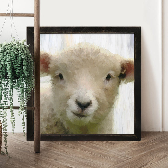 Baby Lamb