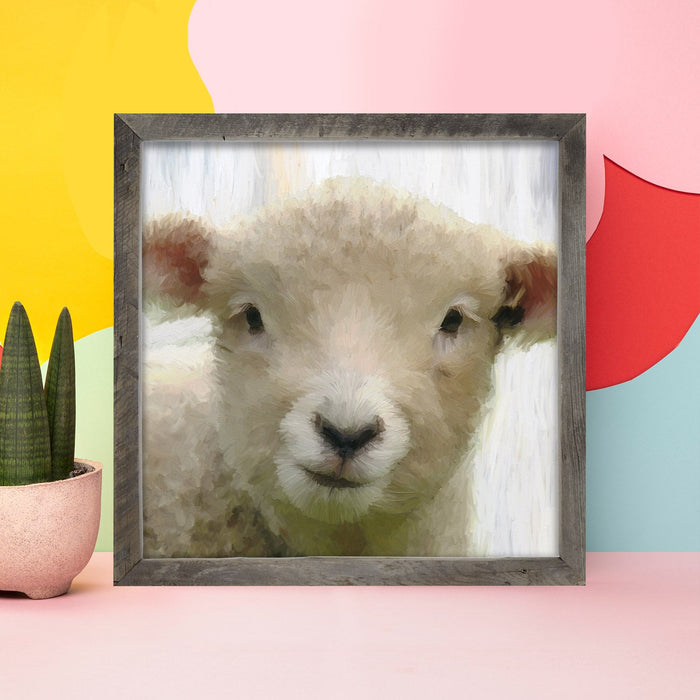 Baby Lamb