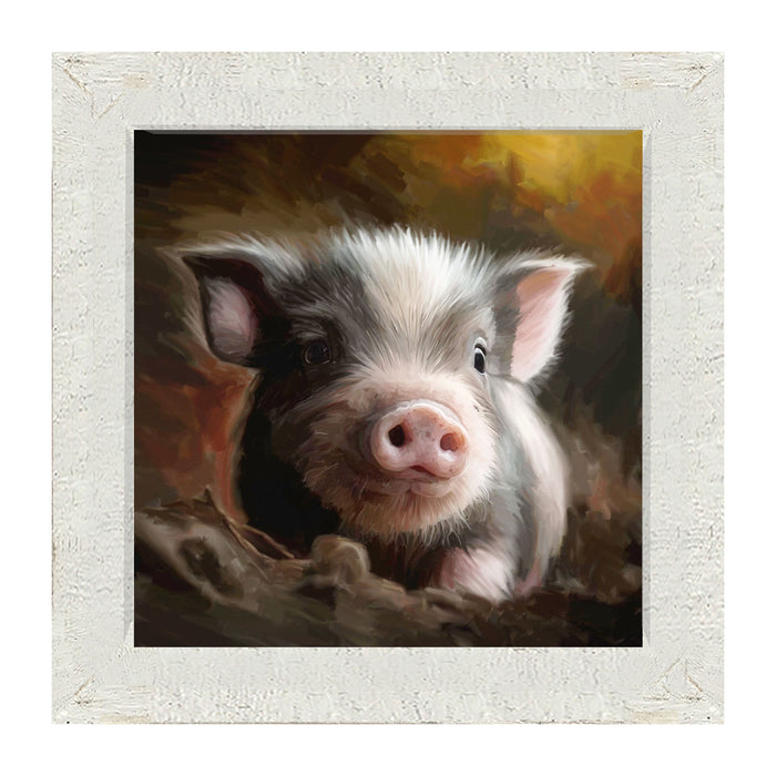 Baby pig