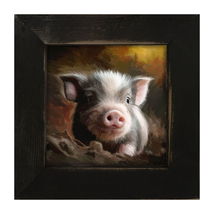 Baby pig