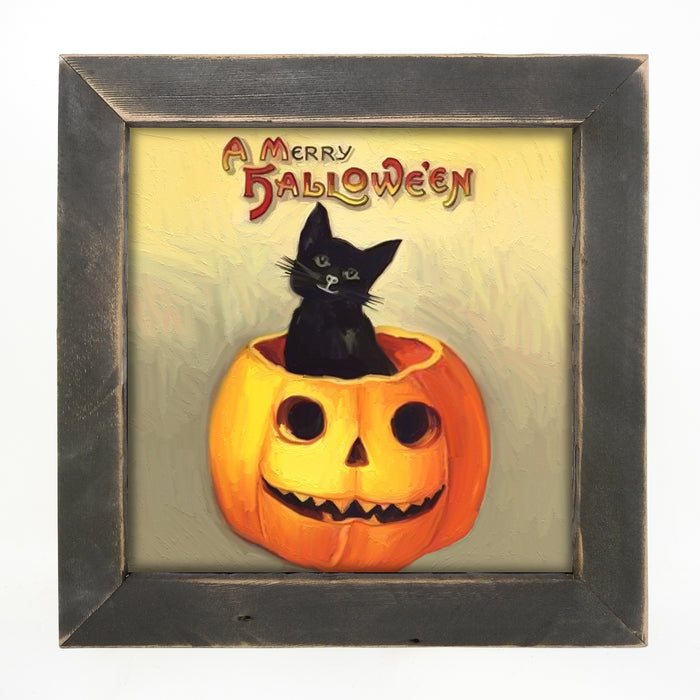 Black Cat in Jack-o-lantern