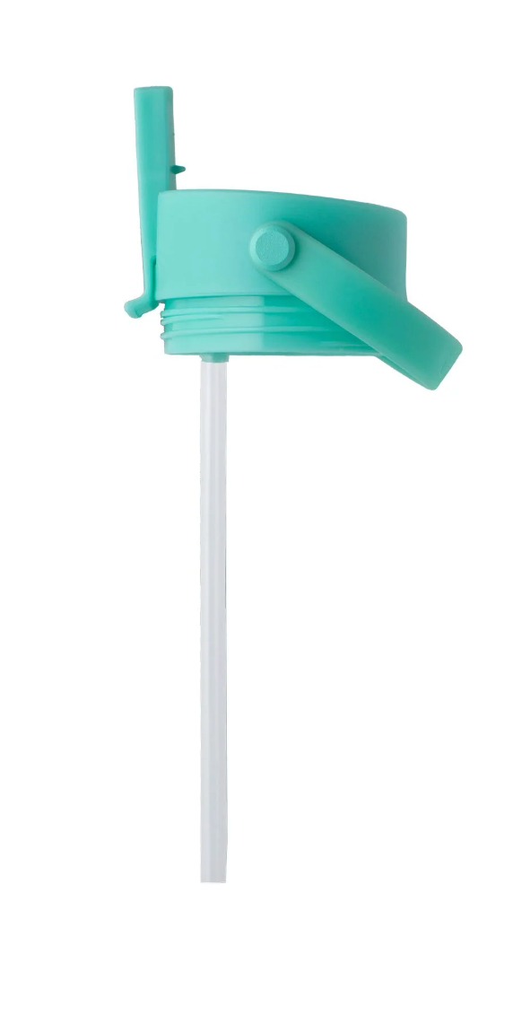Black or Teal Flip + Sip Cap (Small)