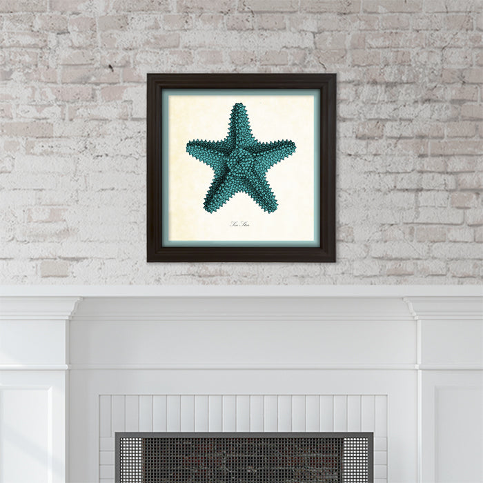 Blue Starfish