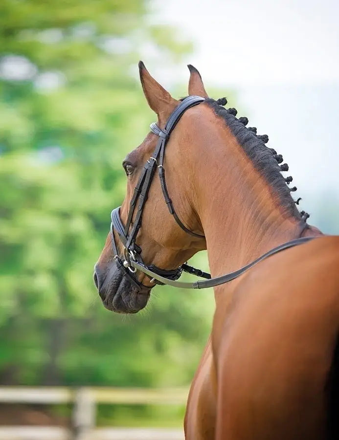 Bridleway Lavello Flash Bridle Crank Black