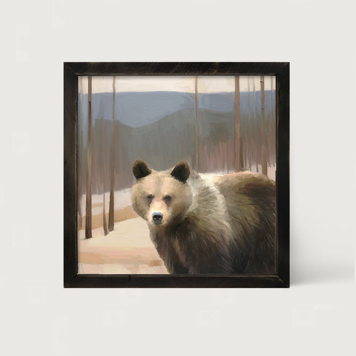 Brown Bear - Framed art