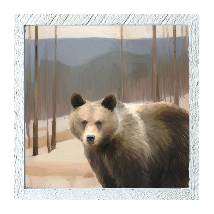 Square / XL / White