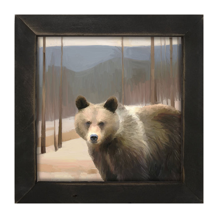Brown Bear - Framed art
