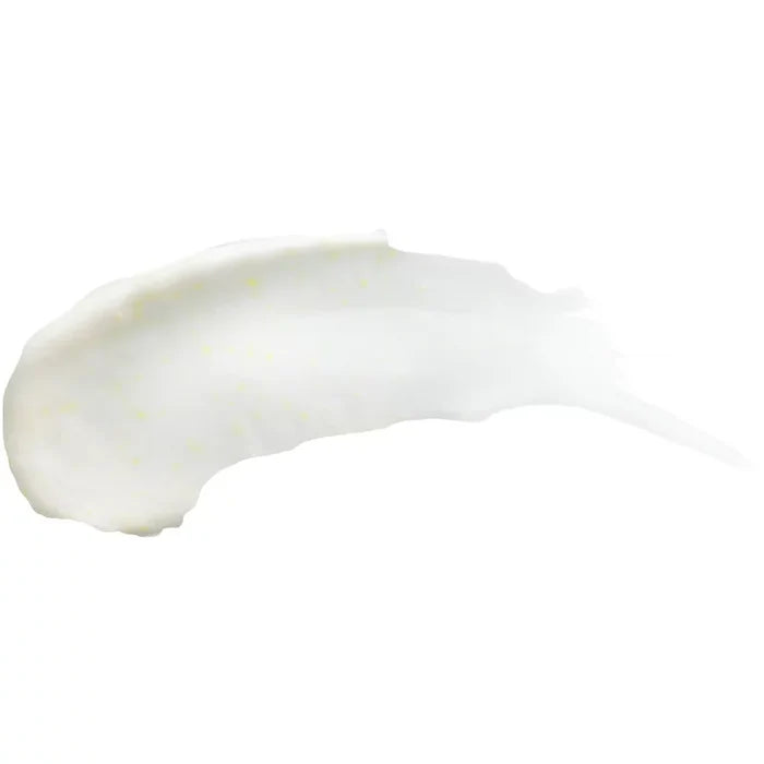 BURT’S BEES Sensitive Solutions Gentle Cream Cleanser with Aloe, 98.9% Natural Origin غسول البشرة بالالوفيرا
