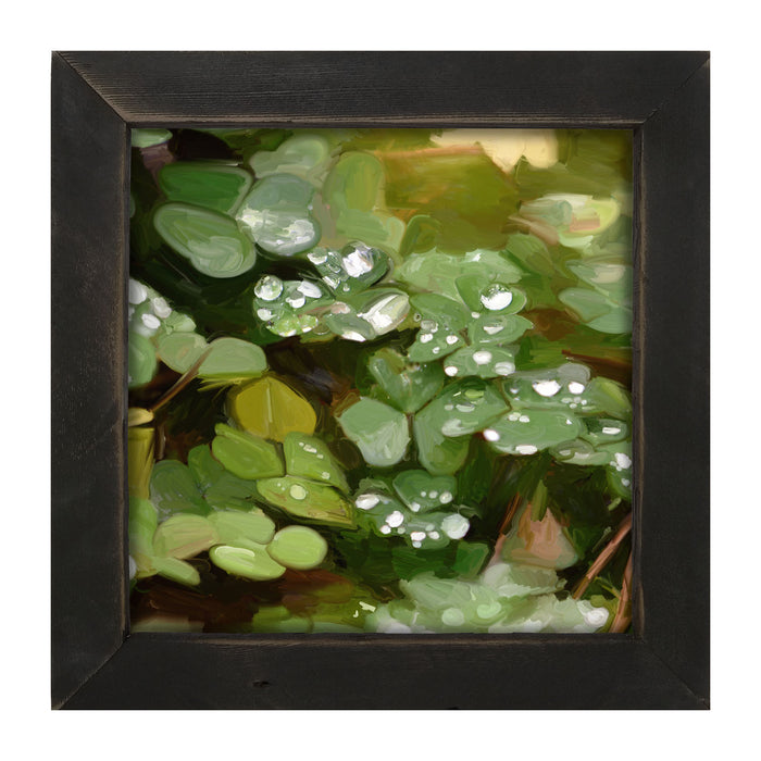 Clovers in The Spring Rain - Framed art