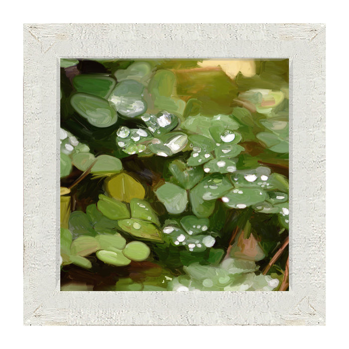 Clovers in The Spring Rain - Framed art