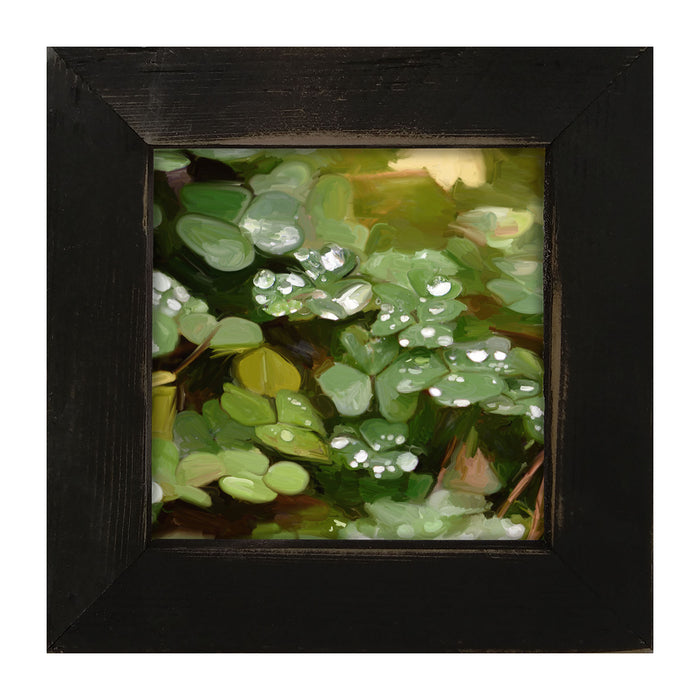 Clovers in The Spring Rain - Framed art