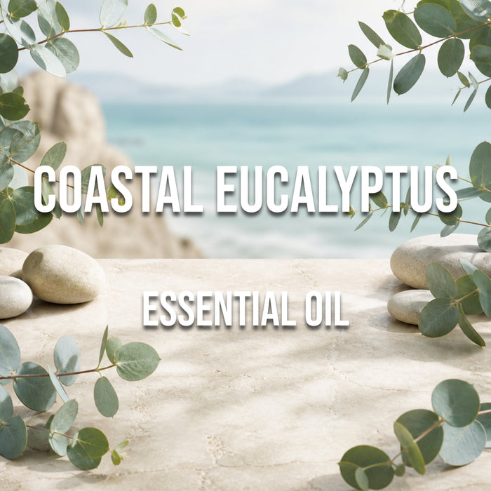 Coastal Eucalyptus Essential Oil - World of Aromas