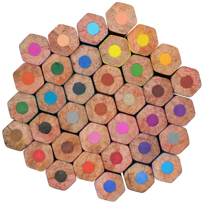 Colour Pencils Signature 36pc