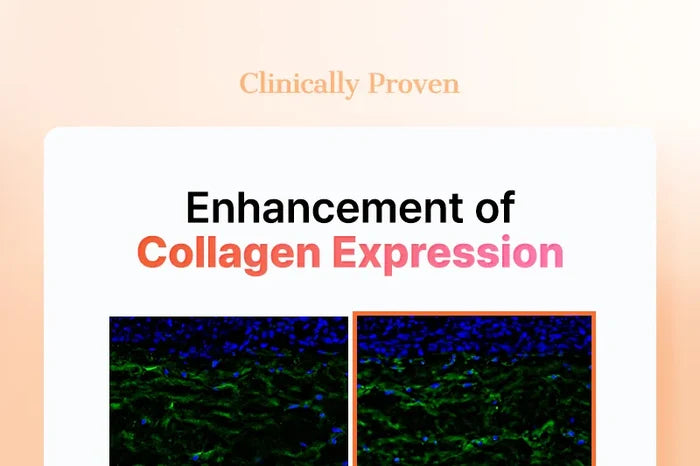 Cosrx 5 PDRN Collagen Intense Vitalizing Serum 100Ml