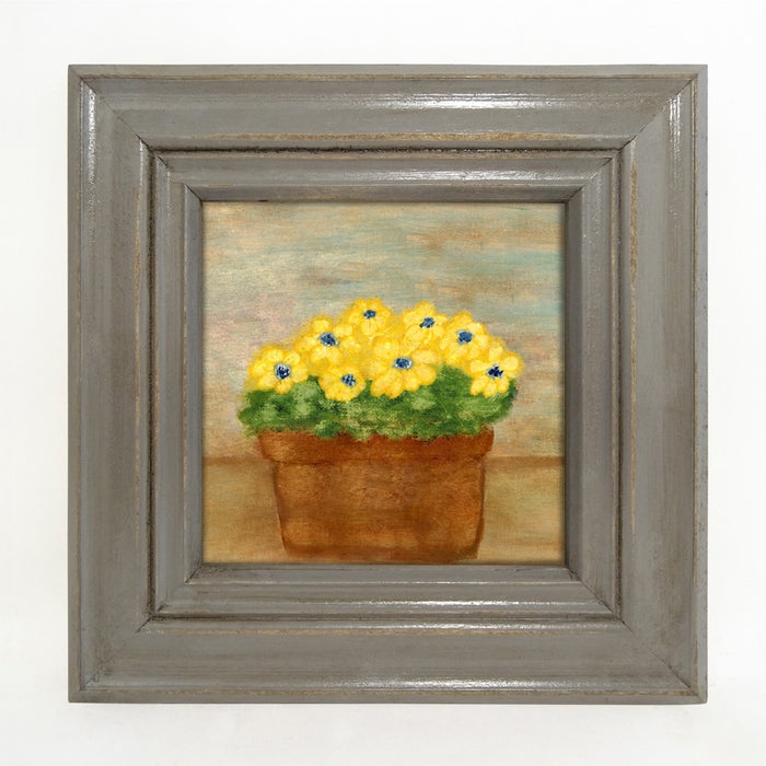 Daisies