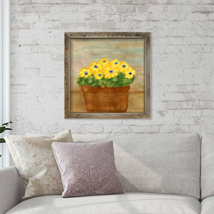 Daisies