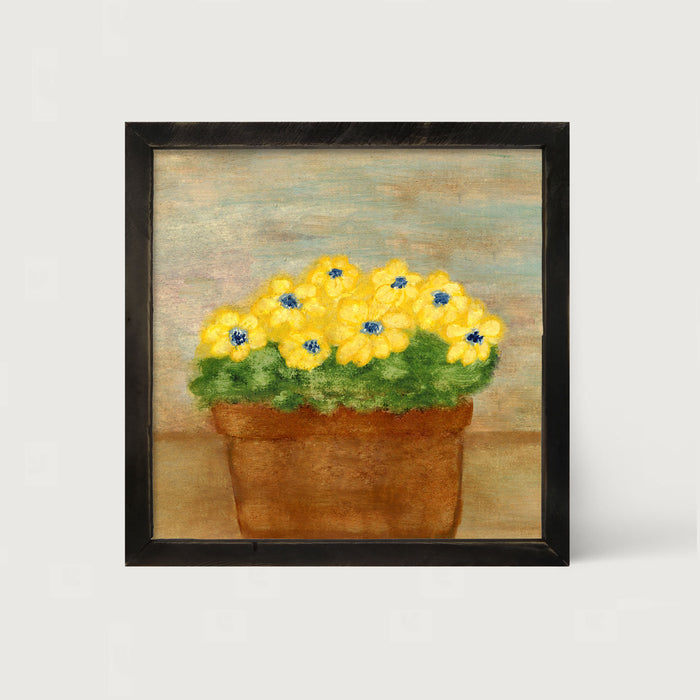Daisies