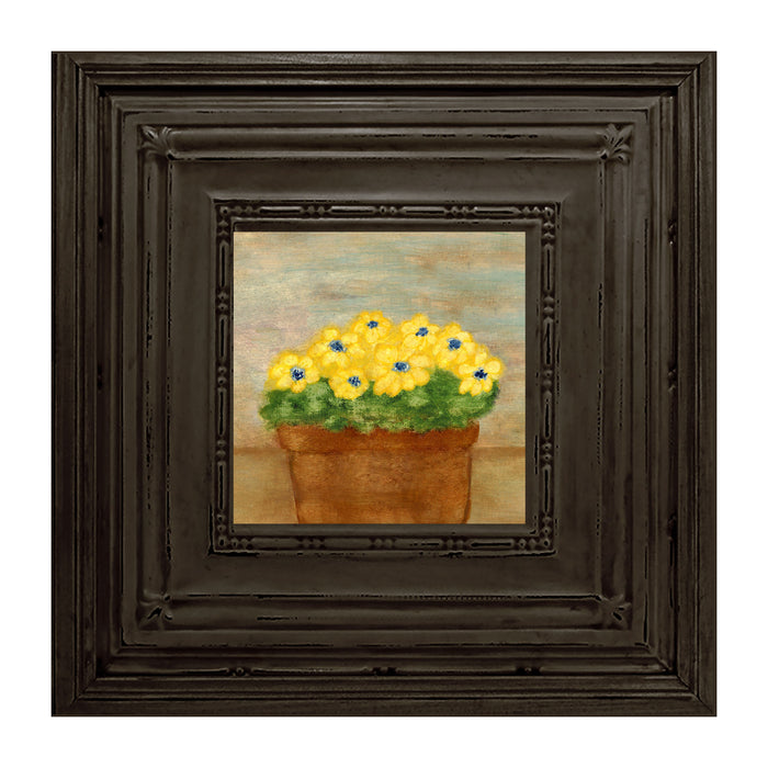 Daisies