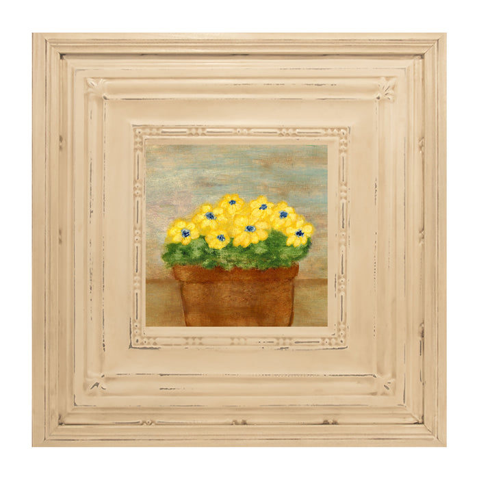 Daisies