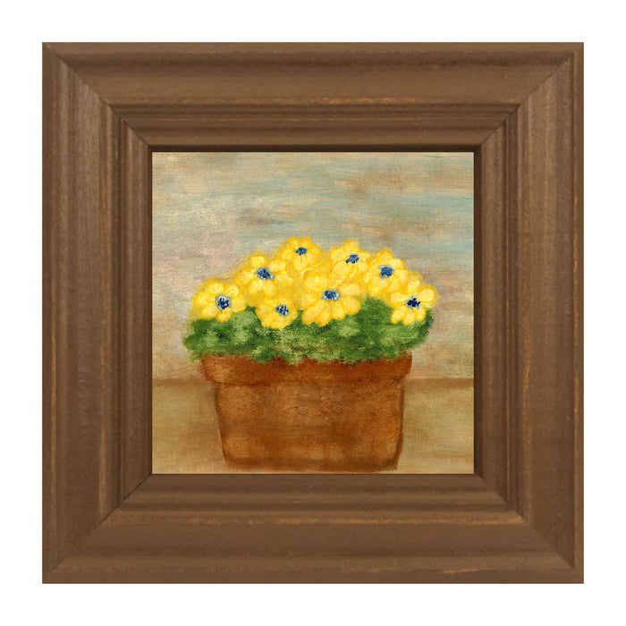 Daisies
