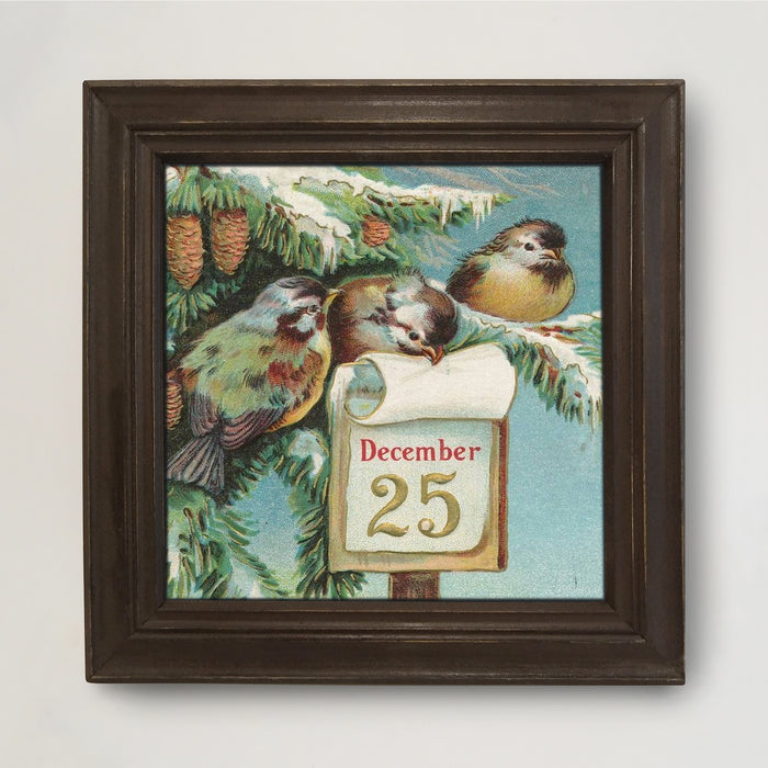 Dec 25 Birds