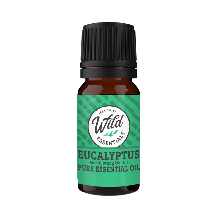 Eucalyptus Pure Essential Oil