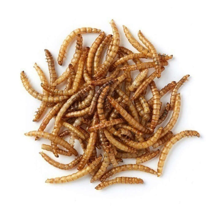Extra Select: Mealworms 3ltr