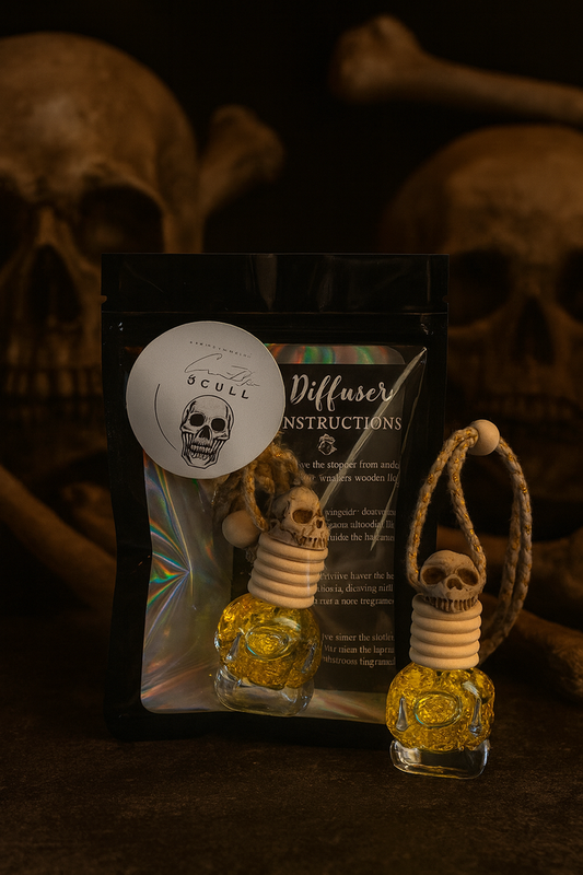 🎃 Fall Car Diffusers 👻