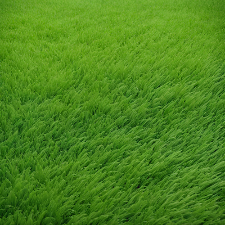 Fragrance Oil - Fresh Cut Grass (Yankee Candle Dupe)
